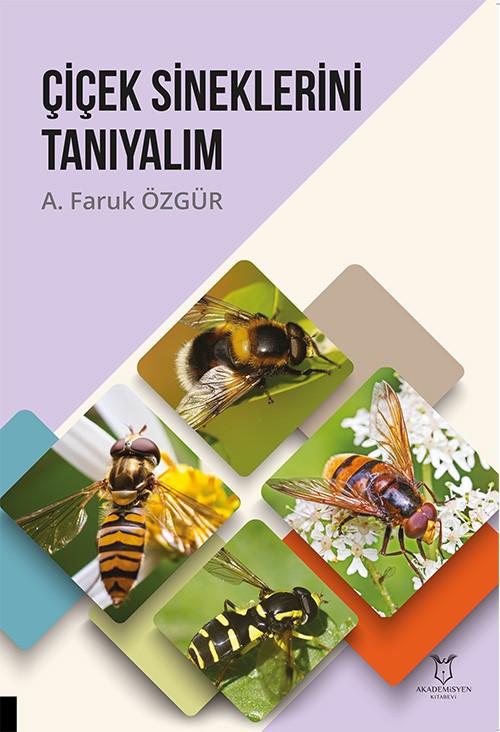 Çiçek Sineklerini Tanıyalım