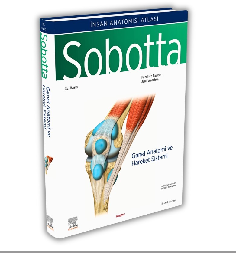 Sobotta İnsan Anatomisi Atlas Türkçe 4 Cilt Set