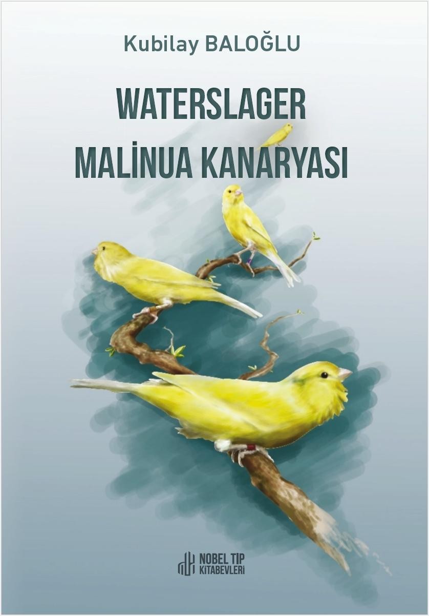 Waterslager Malinua Kanaryası: Ötümü-Bakımı-Eğitimi-Beslenmesi ve Hastalıkları