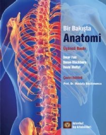 Bir bakışta anatomi