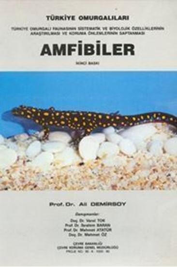 Amfibiler