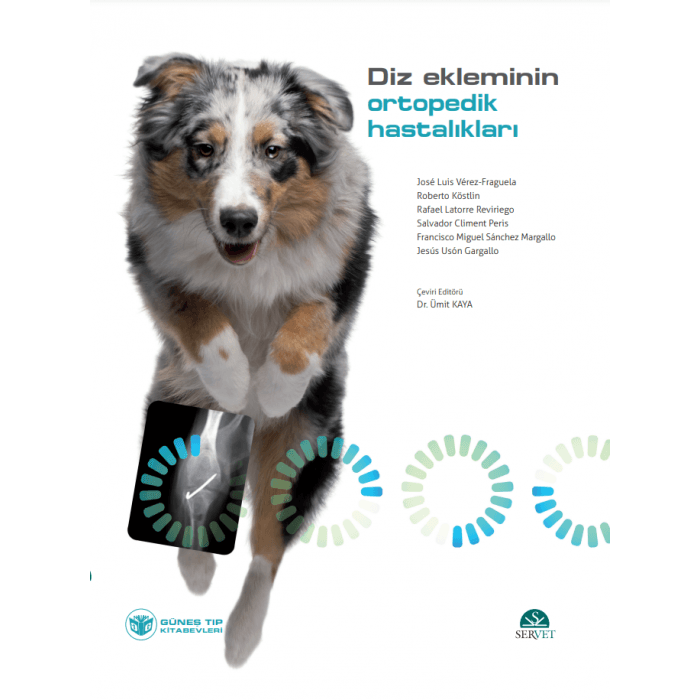 Diz Ekleminin Ortopedik Hastalıkları