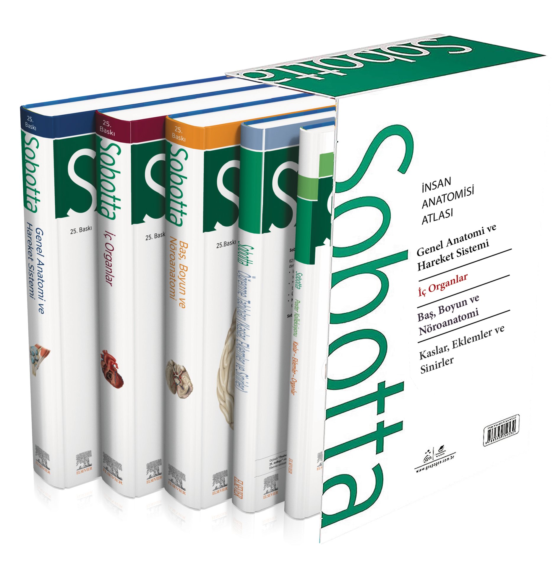 Sobotta İnsan Anatomisi Atlas Türkçe 4 Cilt Set