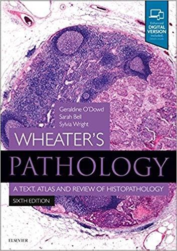 Wheater`s Pathology: A Text, Atlas and Review of Histopathology, 6th Edition