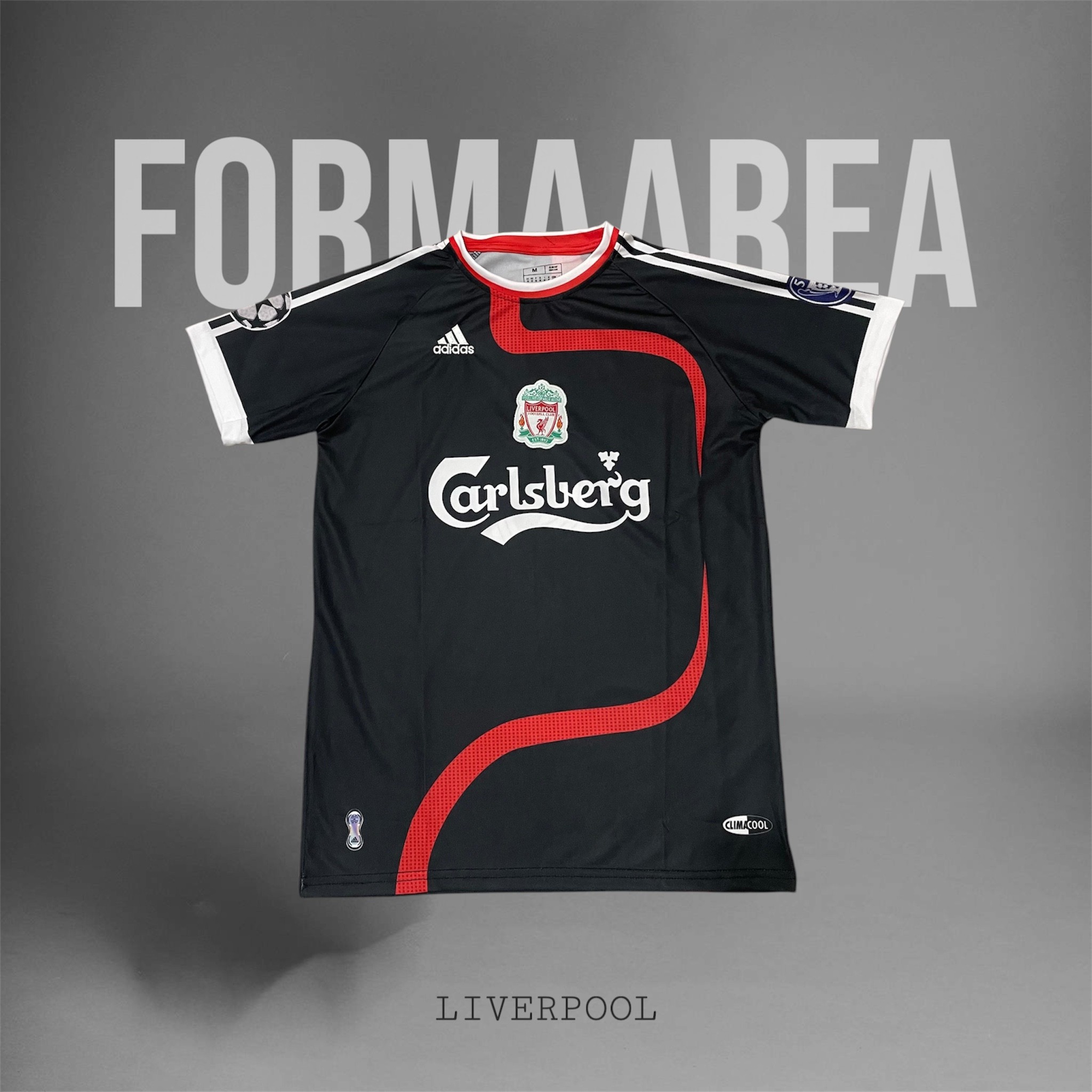 Liverpool Torres 2007-2008