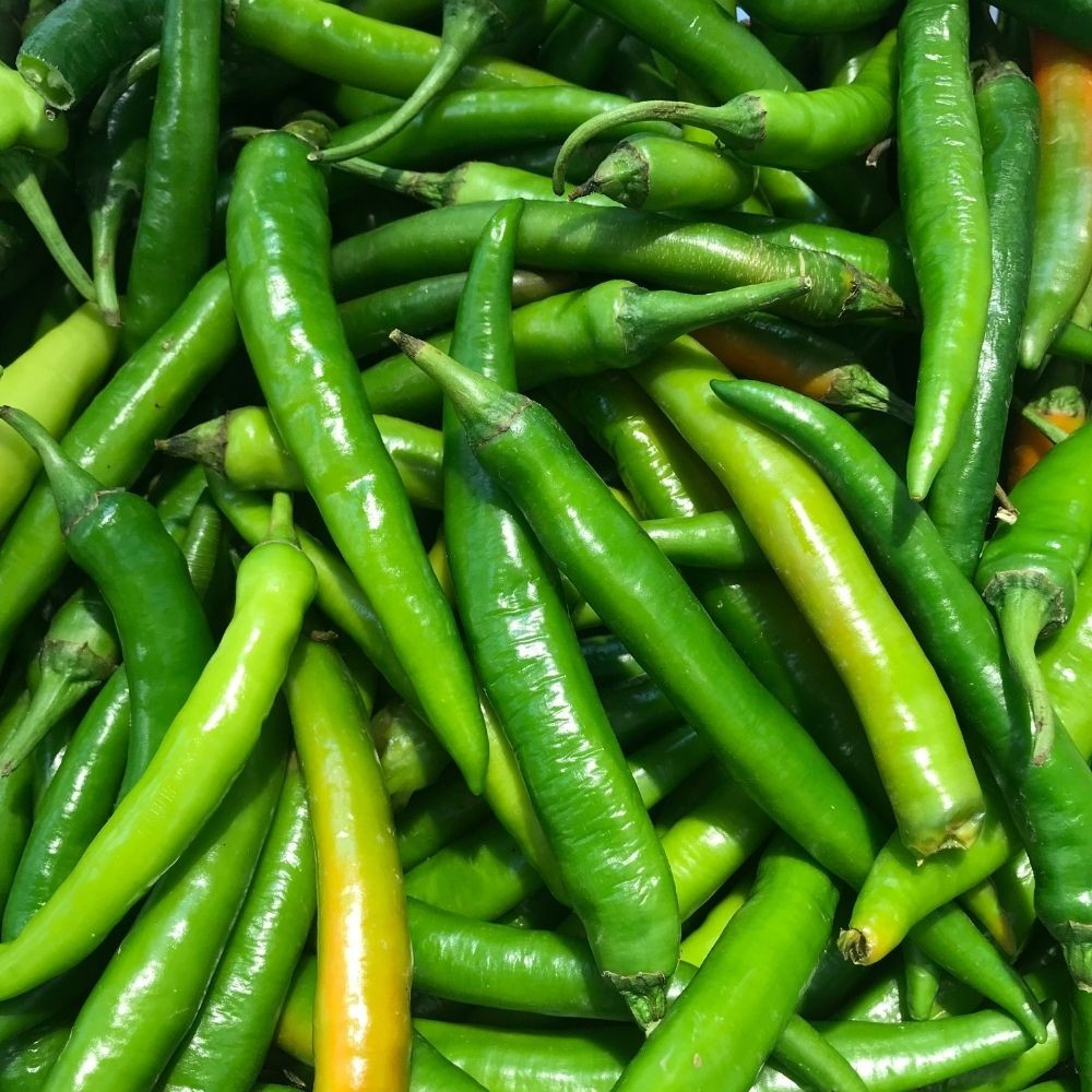 Acı Kıl Biber – 1 KG