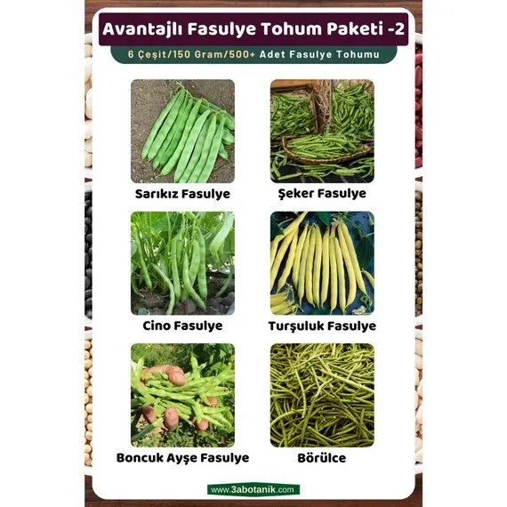 Avantajlı Fasulye Tohum Paketi-2- Toplam 6 Çeşit/150 Gram/Takribi 500 Adet Fasulye Tohumu