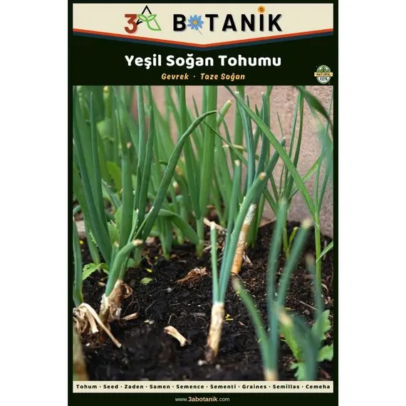 Yeşil Taze Soğan Tohumu- Yerli ve Sürdürülebilir Tohum- 5 Gram Soğan Tohumu
