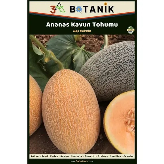 Ananas Kavun Tohumu- Yerli ve Sürdürülebilir Tohum- 5 Gram Kavun Tohumu
