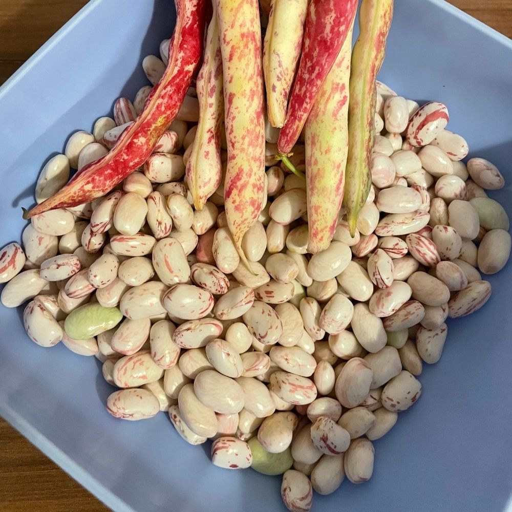 Taze Barbunya - 1 KG