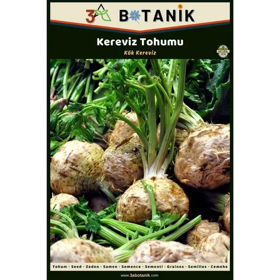 Kök Kereviz Tohumu- Yerli ve Sürdürülebilir Tohum- 5 Gram Kereviz Tohumu