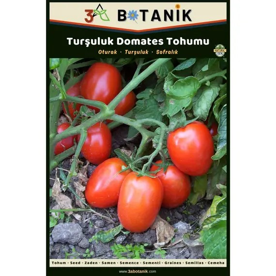 Turşuluk Domates Tohumu- Yerli ve Sürdürülebilir Tohum- 3 Gram Domates Tohumu