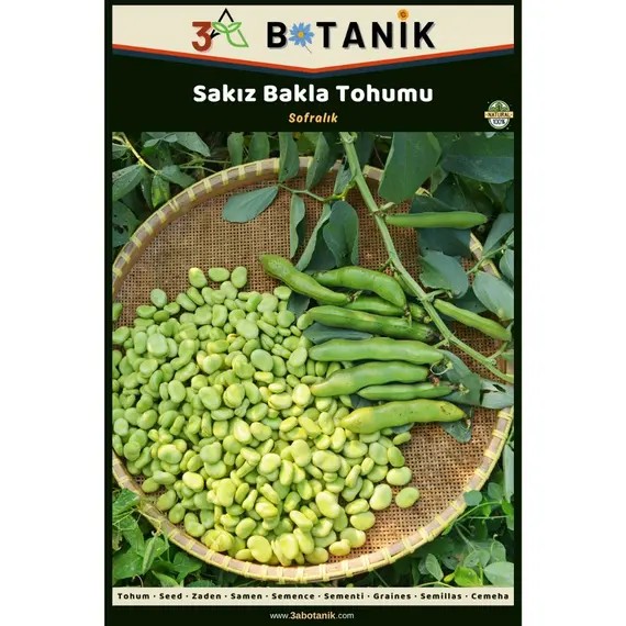 Sakız Kabak Tohumu- Yerli ve Sürdürülebilir Tohum- 10 Gram Kabak Tohumu