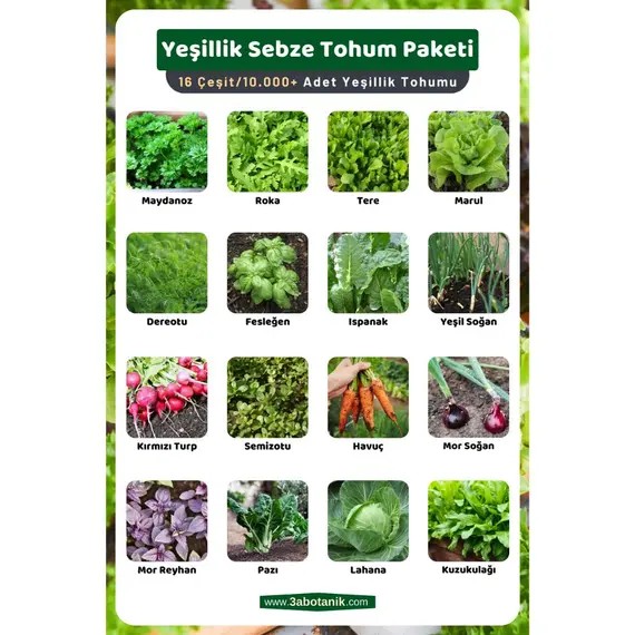 Yeşillik Sebze Tohum Paketi- 16 Çeşit Tohum- Takribi 10.000 Adet Yeşillik Sebze Tohum Paketi