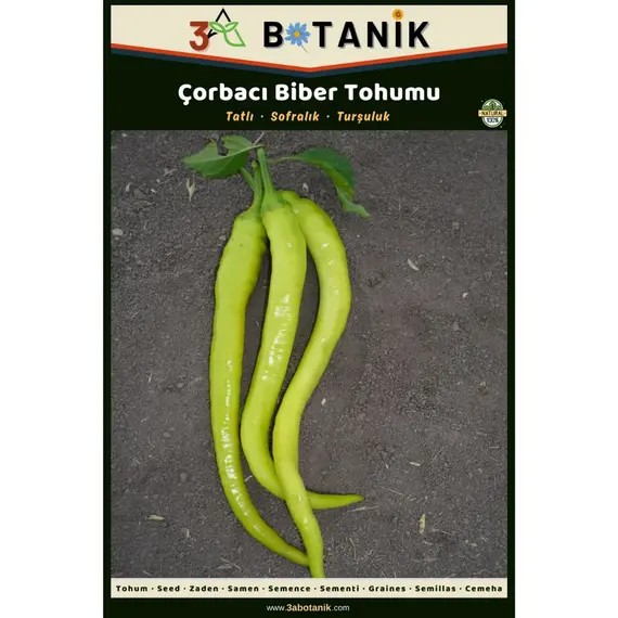 Çorbacı Biber Tohumu- Yerli ve Sürdürülebilir Tohum- 5 Gram Biber Tohumu