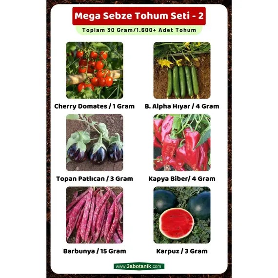 Mega Sebze Tohum Seti - 2- Toplam 30 Gram/1.600 Adet Sebze Tohumu