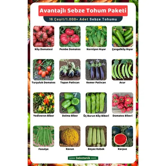Avantajlı Sebze Tohum Paketi- 16 Çeşit Tohum- Takribi 1.000 Adet Sebze Tohum Paketi