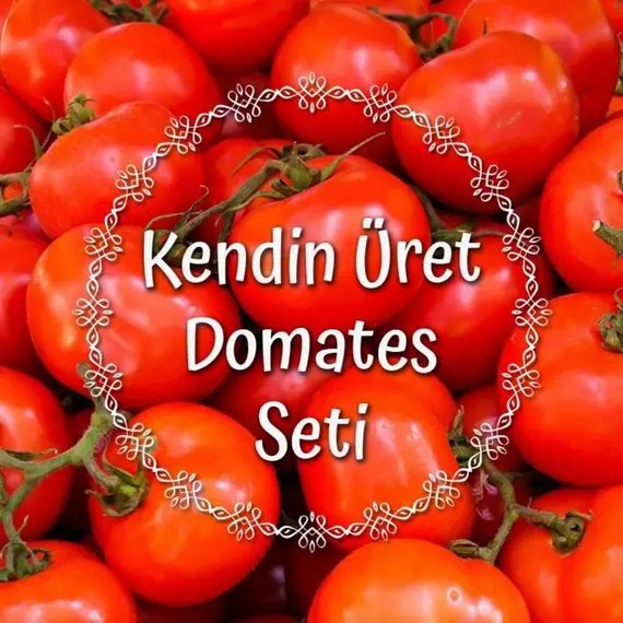 Kendin Üret Domates Seti