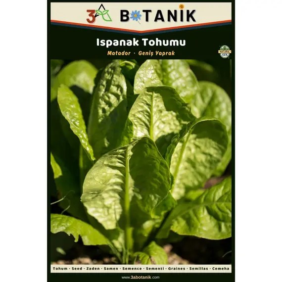 Matador Ispanak Tohumu- Yerli ve Sürdürülebilir Tohum- 5 Gram Ispanak Tohumu