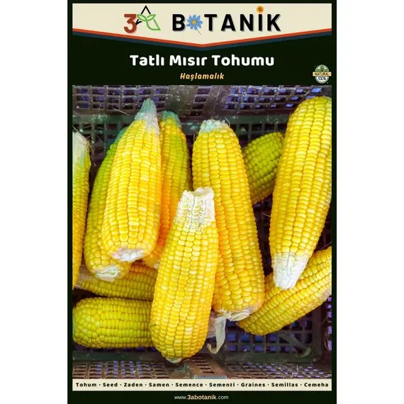 Tatlı Haşlamalık Mısır Tohumu- Yerli ve Sürdürülebilir Tohum- 10 Gram Mısır Tohumu