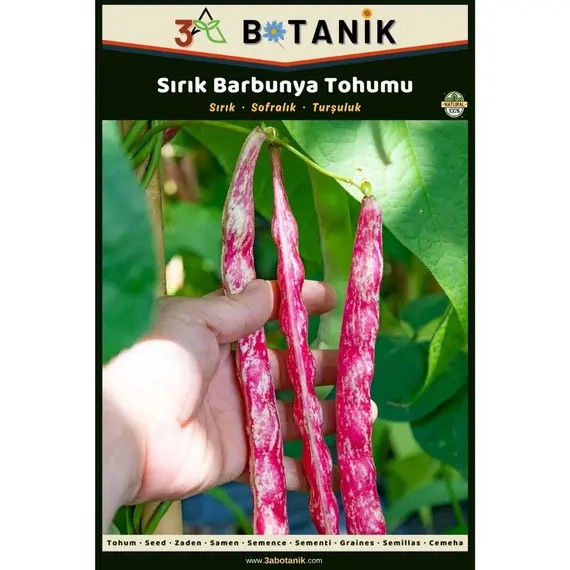 Sırık Barbunya Tohumu- Yerli ve Sürdürülebilir Tohum- 10 Gram Barbunya Tohumu
