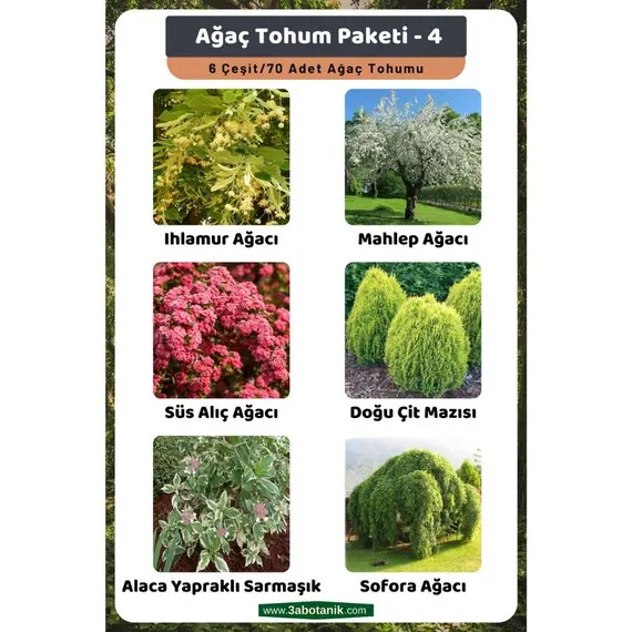 Ağaç Tohum Paketi-4- (Ihlamur- Mahlep- Süs Alıç- Çit mazısı- Alaca Sarmaşık- Sofora) Ağa?