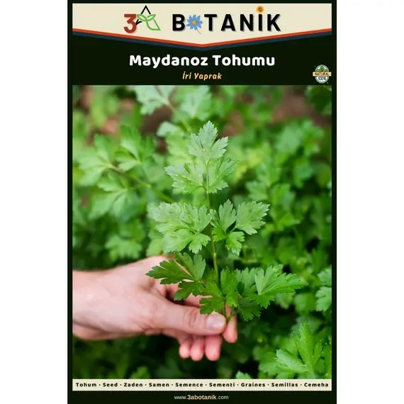 İri Yaprak Maydanoz Tohumu- Yerli ve Sürdürülebilir Tohum- 5 Gram Maydanoz Tohumu