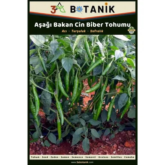 Aşağı Bakan Cin Biber Tohumu- Yerli ve Sürdürülebilir Tohum- 5 Gram Biber Tohumu