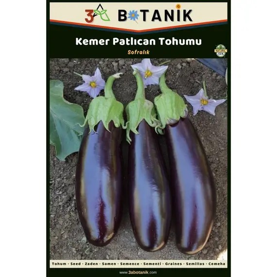 Kemer Patlıcan Tohumu- Yerli ve Sürdürülebilir Tohum- 5 Gram Patlıcan Tohumu