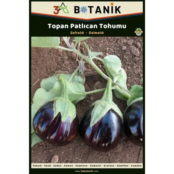 Topan Patlıcan Tohumu- Yerli ve Sürdürülebilir Tohum- 5 Gram Patlıcan Tohumu