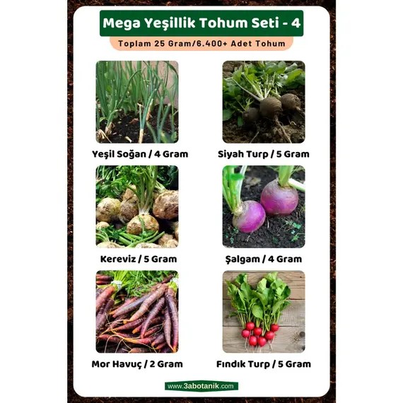 Mega Yeşillik Tohum Seti - 4- Toplam 25 Gram/6.400 Adet Yeşillik Tohumu