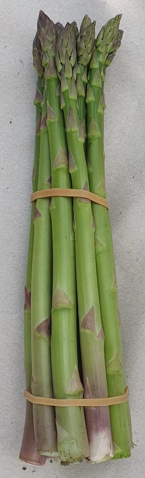 Taze Kuşkonmaz - 1 KG