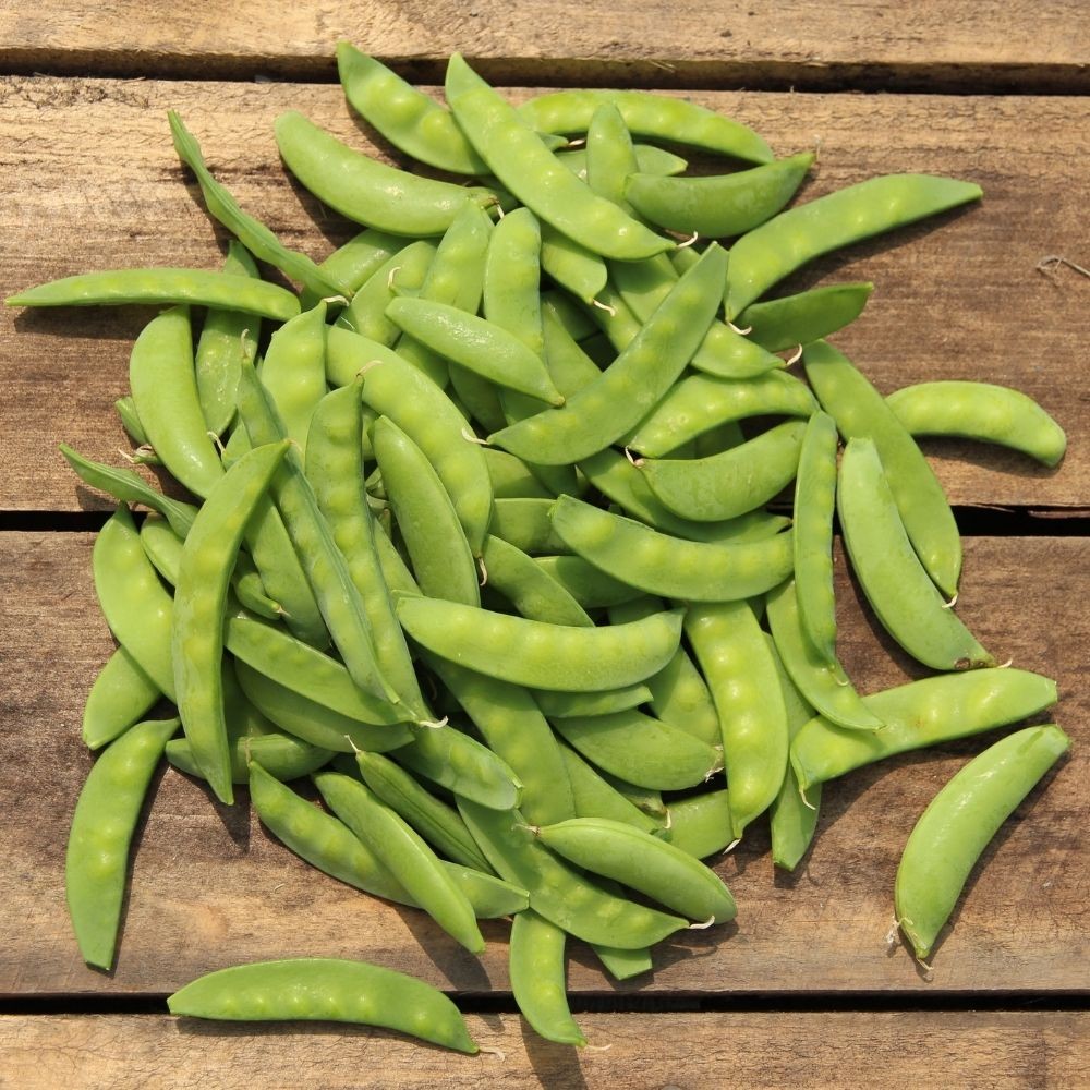 Taze Bezelye – 1 KG