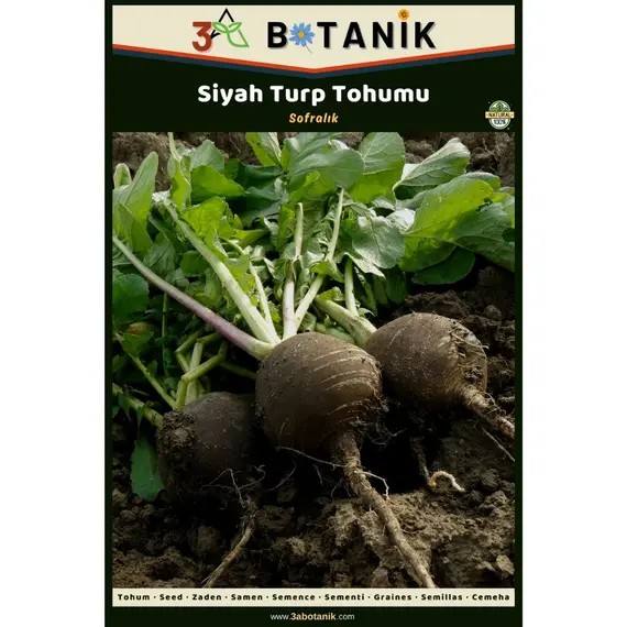 Siyah Turp Tohumu- Yerli ve Sürdürülebilir Tohum- 5 Gram Turp Tohumu