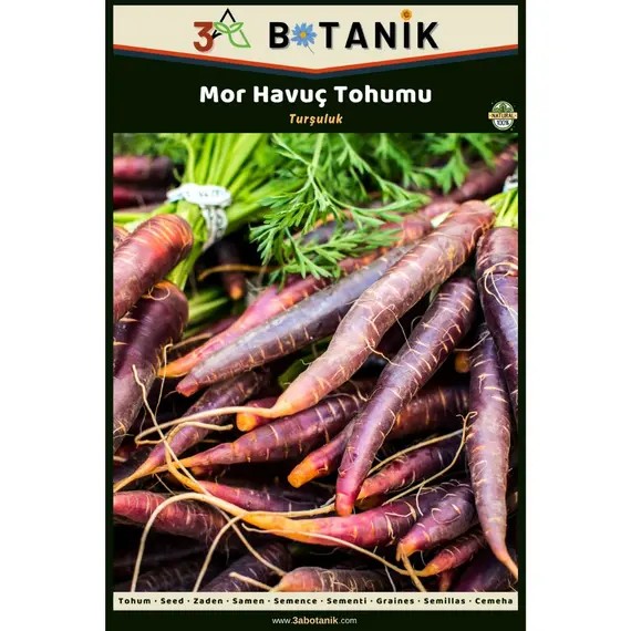 Mor Havuç Tohumu- Yerli ve Sürdürülebilir Tohum- 2 Gram Havuç Tohumu