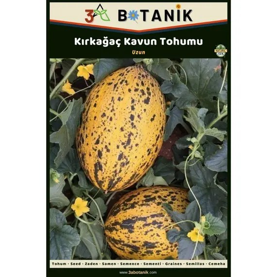 Kırkağaç Kavun Tohumu- Yerli ve Sürdürülebilir Tohum- 5 Gram Kavun Tohumu