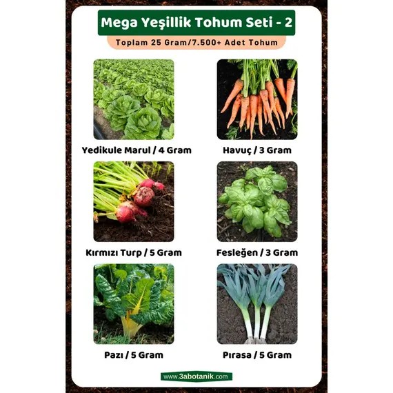 Mega Yeşillik Tohum Seti - 2- Toplam 25 Gram/7.500 Adet Yeşillik Tohumu