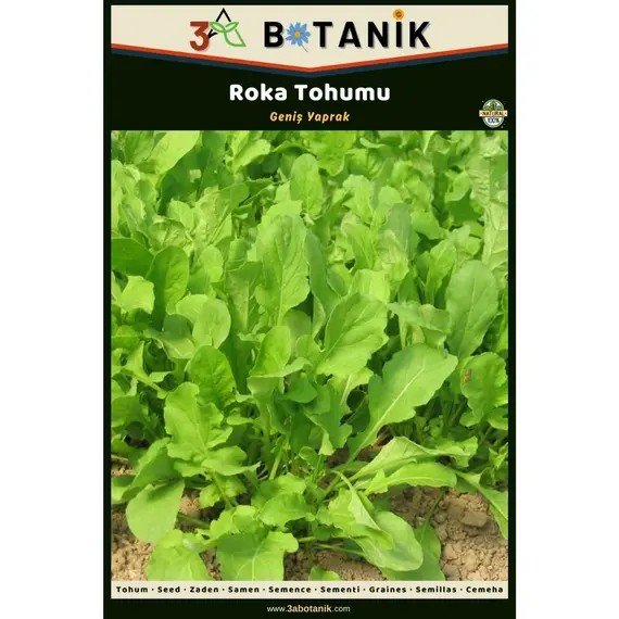 Geniş Yaprak Roka Tohumu- Yerli ve Sürdürülebilir Tohum- 5 Gram Roka Tohumu