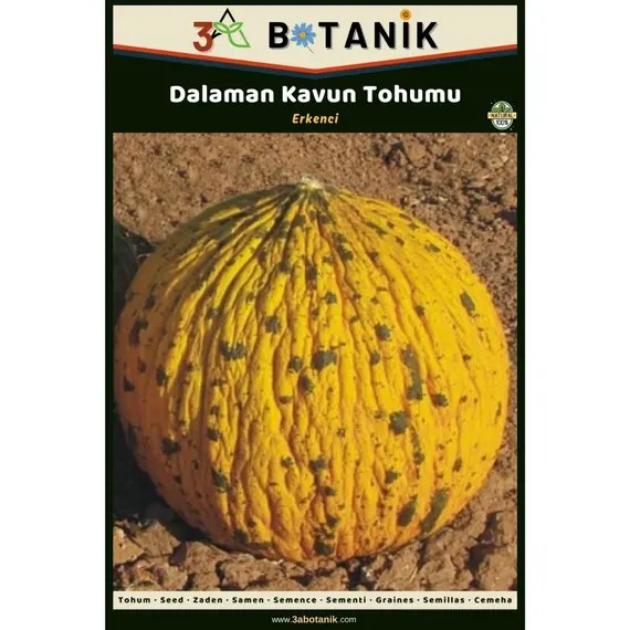 Dalaman Kavun Tohumu- Yerli ve Sürdürülebilir Tohum- 5 Gram Kavun Tohumu