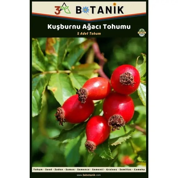 Kuşburnu Ağacı Tohumu- 5 Adet Tohum- Rosa Canina