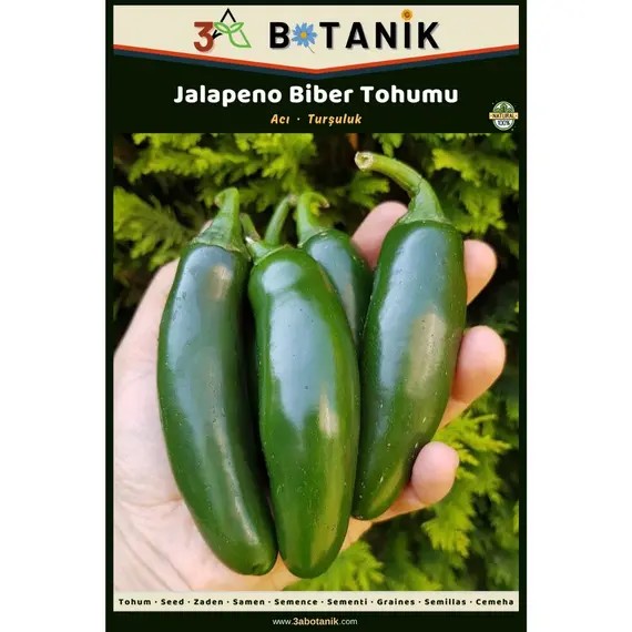 Jalapeno Biber Tohumu- Yerli ve Sürdürülebilir Tohum- 1 gram Biber Tohumu