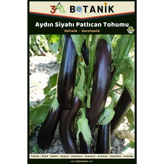 Aydın Siyahı Patlıcan Tohumu- Yerli ve Sürdürülebilir Tohum- 5 Gram Patlıcan Tohumu