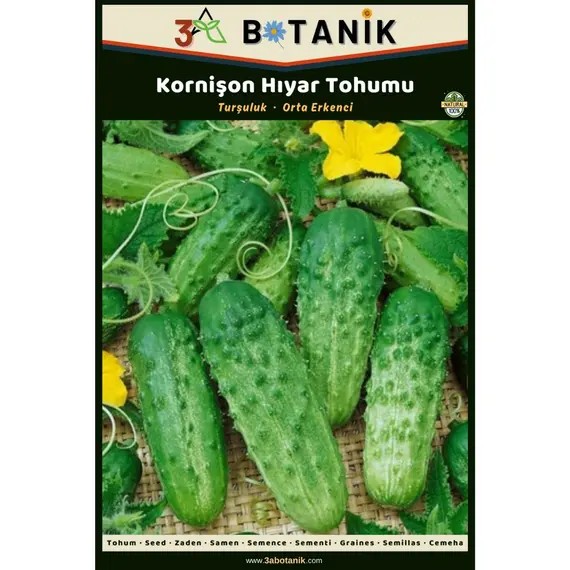 Kornişon Hıyar (Salatalık) Tohumu- Yerli ve Sürdürülebilir Tohum- 2 Gram Hıyar Tohumu