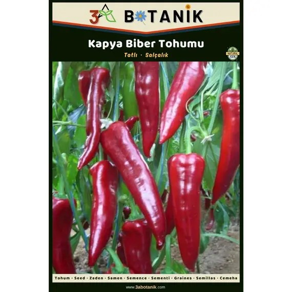 Kapya Biber Tohumu- Yerli ve Sürdürülebilir Tohum- 5 Gram Biber Tohumu