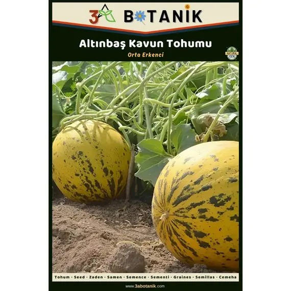 Altınbaş Kavun Tohumu- Yerli ve Sürdürülebilir Tohum- 5 Gram Kavun Tohumu