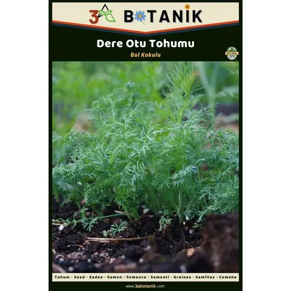 Dere Otu Tohumu- Yerli ve Sürdürülebilir Tohum- 5 Gram Dere Otu Tohumu