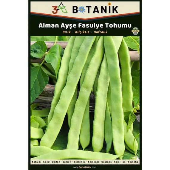 Alman Ayşe Sırık Fasulye Tohumu- Yerli ve Sürdürülebilir Tohum- 10 Gram Fasulye Tohumu