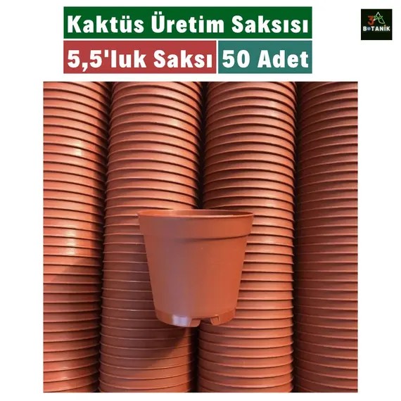 Kaktüs Üretim Saksısı- 5-5'luk Saksı