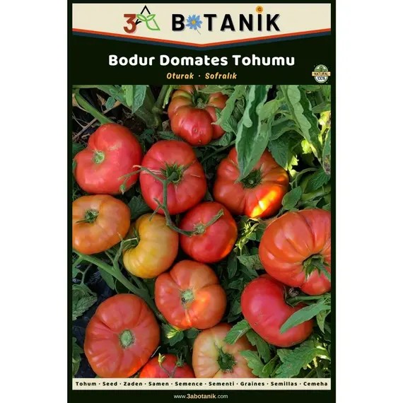 Bodur Domates Tohumu- Yerli ve Sürdürülebilir Tohum- 3 Gram Domates Tohumu