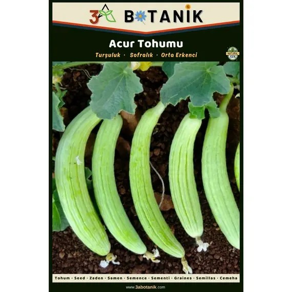 Acur Tohumu- Yerli ve Sürdürülebilir Tohum- 5 Gram Acur Tohumu